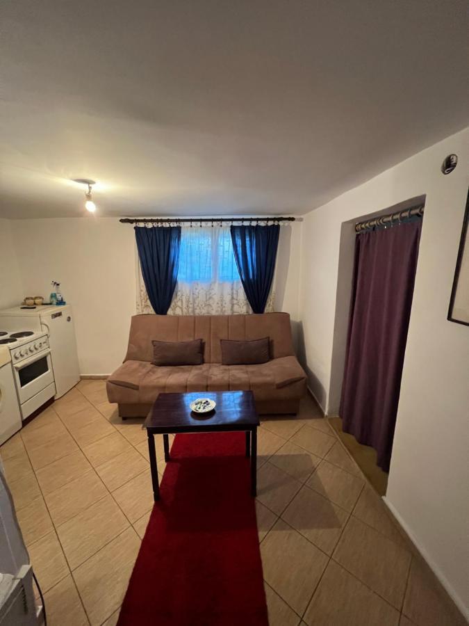 A & A Apartman Podgoriţa Exterior foto